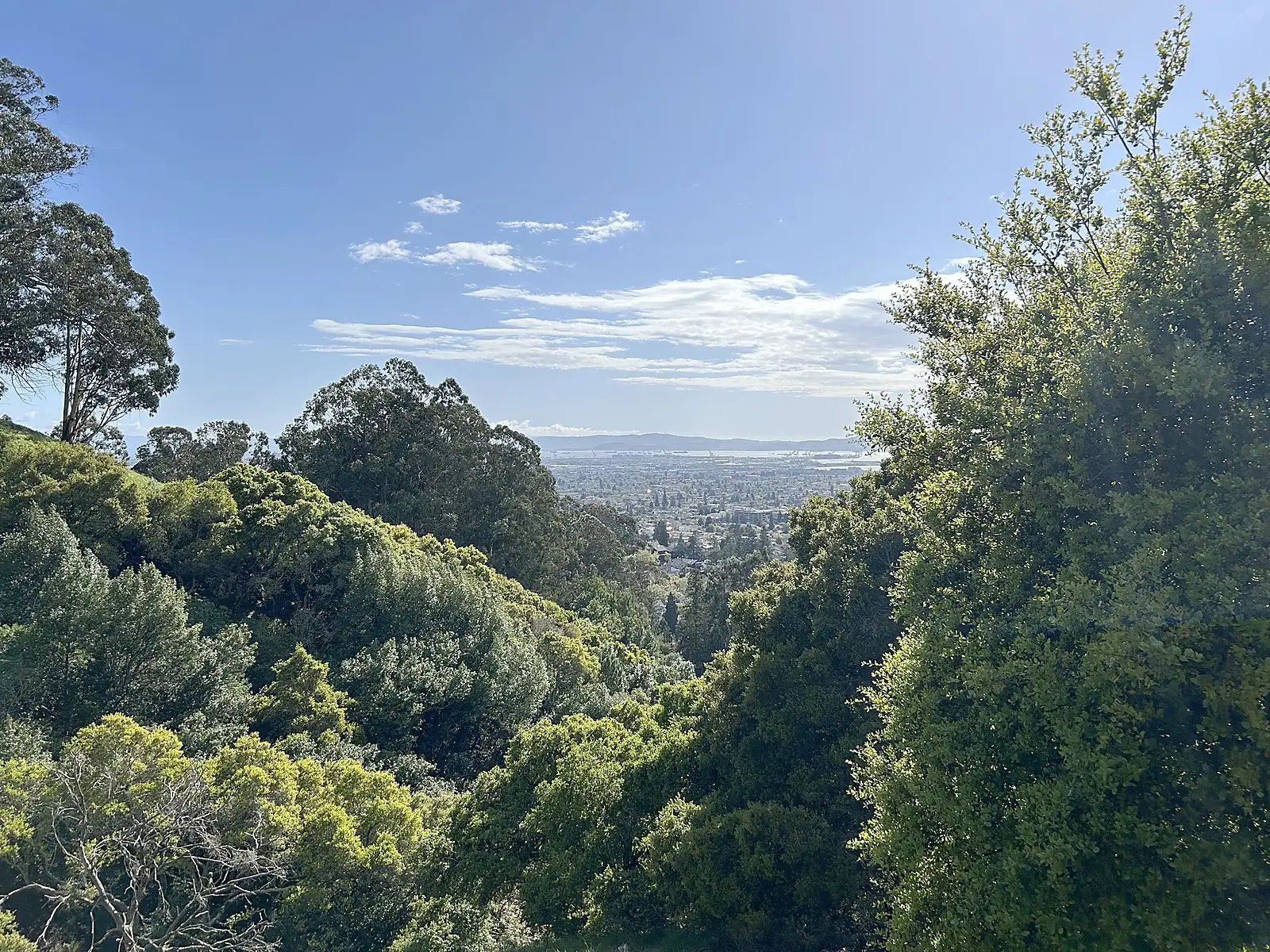 A view over wooded hills toward San Francisco Bay and the city beyond